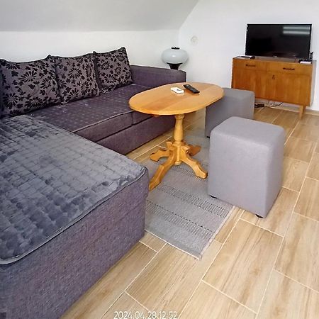 Apartman Duric Apartment Donji Milanovac Bagian luar foto