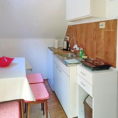 Apartman Duric Donji Milanovac Bagian luar foto