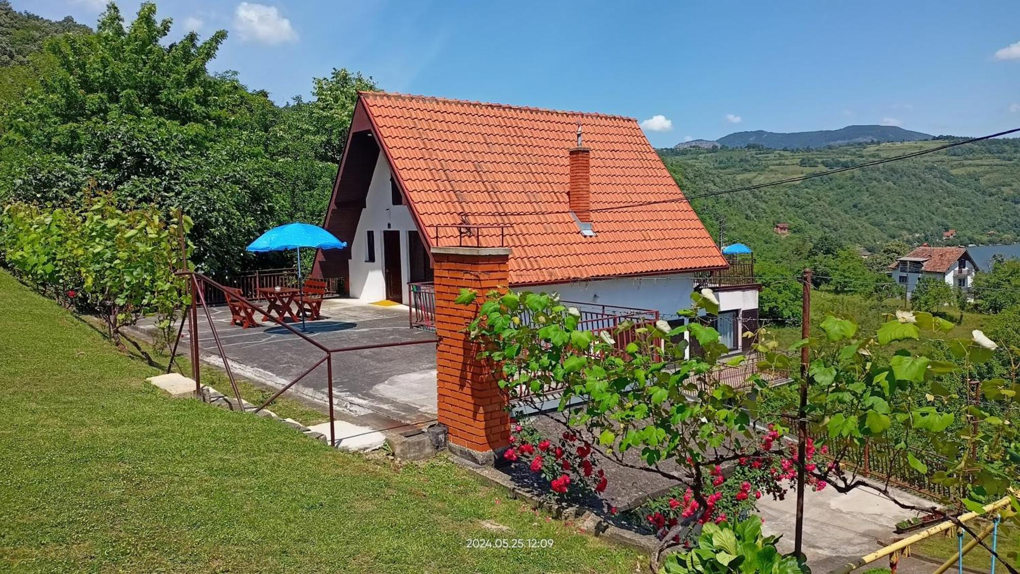 Apartman Duric Donji Milanovac Bagian luar foto